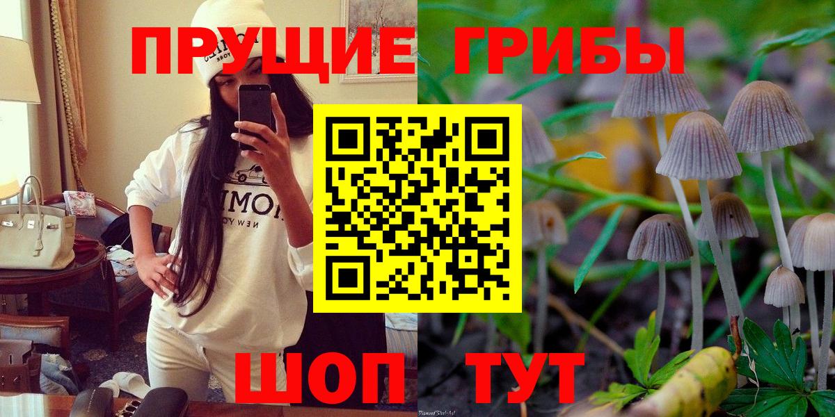 Волгоград  купить наркотики цена  Галлюциногенные грибы GOLDEN TEACHER  Вход с VPN  Галлюциногенные грибы Cubensis 