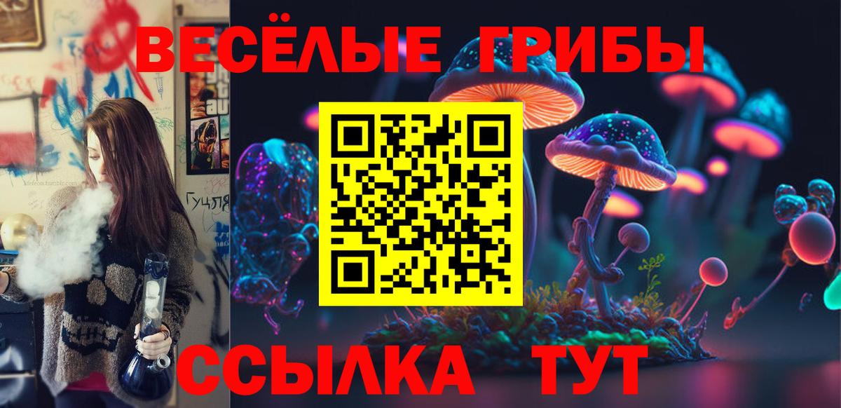 Галлюциногенные грибы MAGIC MUSHROOMS Волгоград